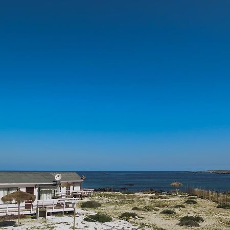 Refugio Humboldt Villa Punta de Choros Eksteriør billede