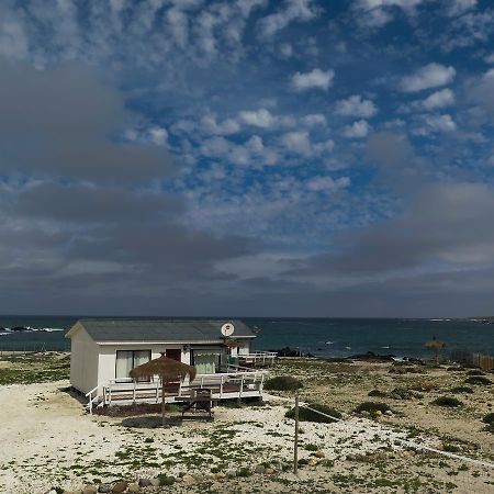 Refugio Humboldt Villa Punta de Choros Eksteriør billede