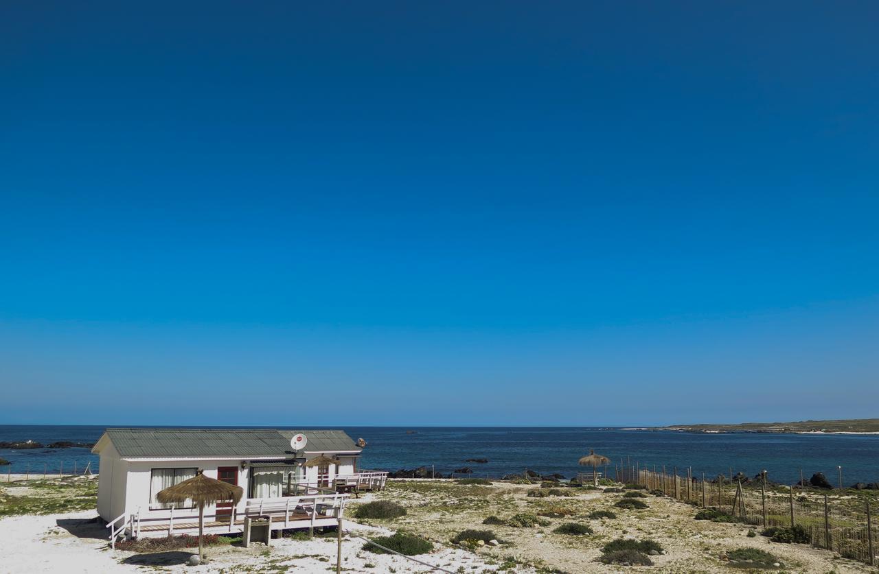 Refugio Humboldt Villa Punta de Choros Eksteriør billede