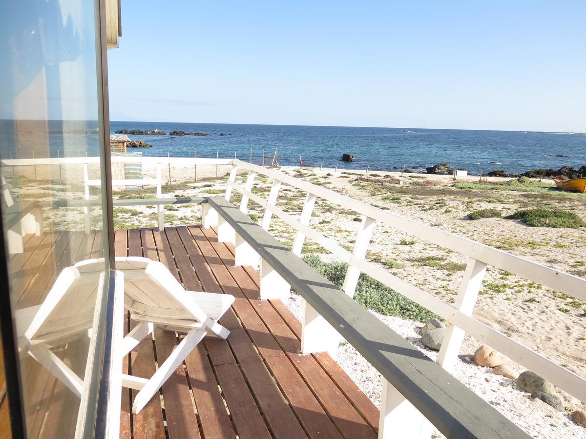 Refugio Humboldt Villa Punta de Choros Eksteriør billede