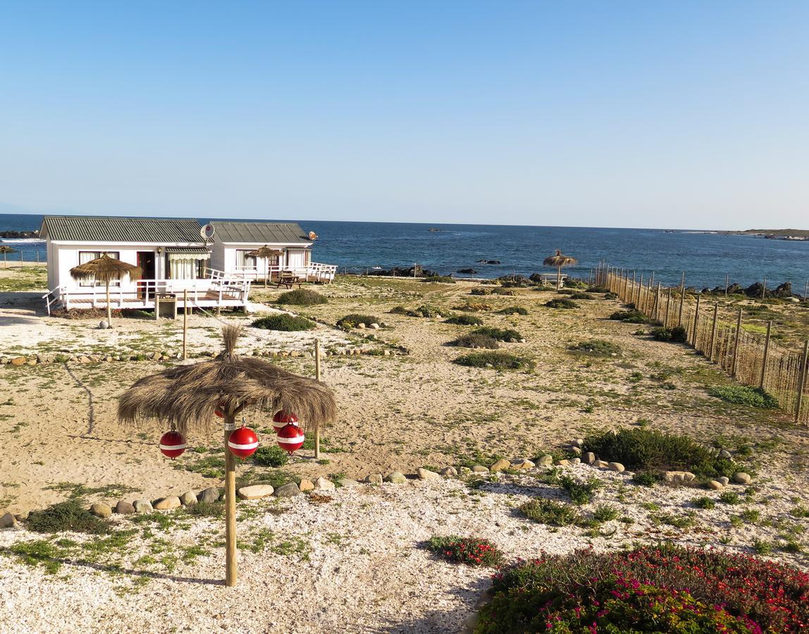 Refugio Humboldt Villa Punta de Choros Eksteriør billede